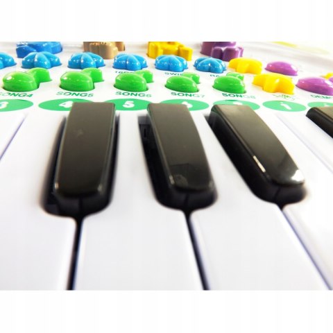 ORGANKI PIANINKO FARMA ZWIERZ NAGRYW FARMA 8843 ORGANKI PIANINKO FARMA ZWIERZ NAGRYW FARMA 8843