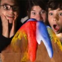 ZESTAW DOŚWIADCZALNY MAGICZNY WULKAN DIY 8+ TREFL SCIENCE4YOU 61966