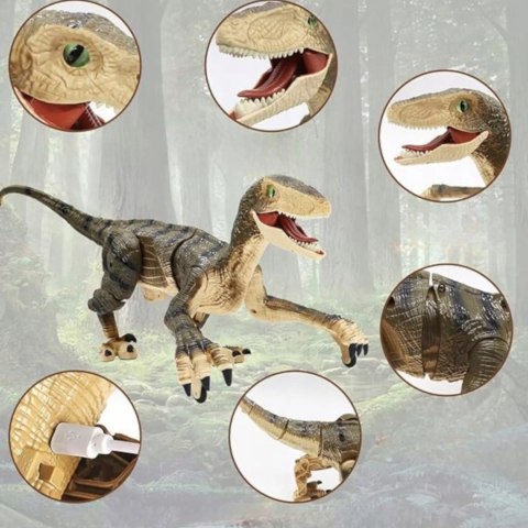 Dinozaur Velociraptor zdalnie sterowany pilot port usb dźwięki QX023 Dinozaur Velociraptor zdalnie sterowany pilot port usb dźwięki QX023
